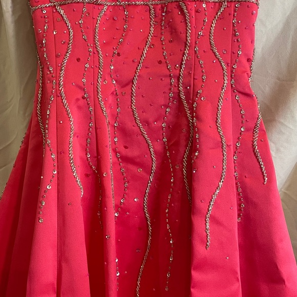 Caché Pink Princess Tie Back Gown - Picture 6 of 6